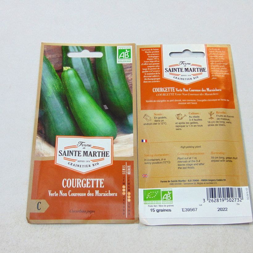 Exemple de spécimen de Courgette Verte non coureuse des maraîchers Bio - Ferme de Sainte Marthe Graines tel que livré
