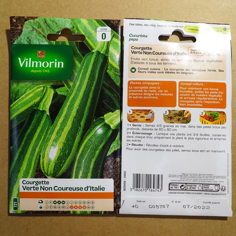 Exemple de spécimen de Courgette non coureuse d'Italie - Vilmorin Graines tel que livré