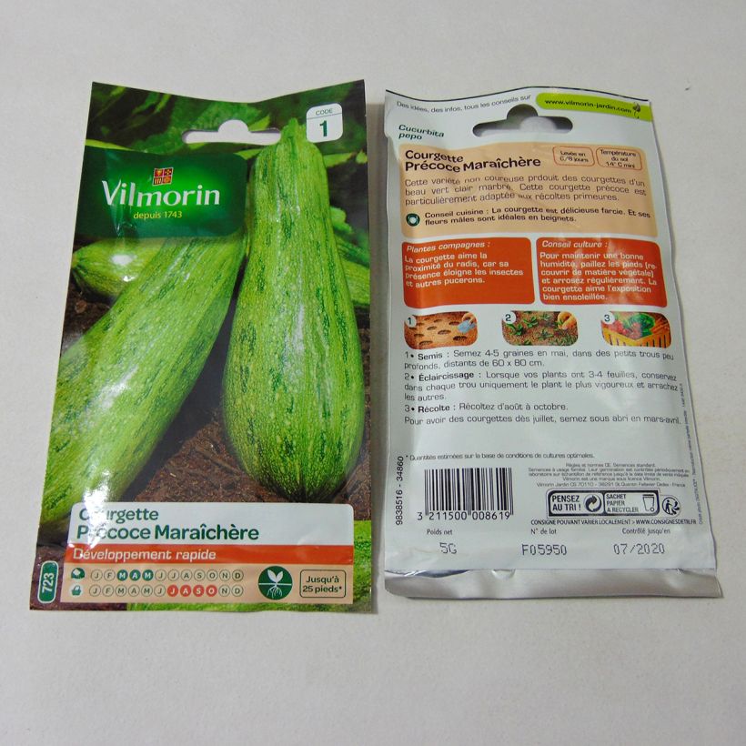 Vilmorin Graines de Légumes Courgette Verte Petite d'Alger, 5 g