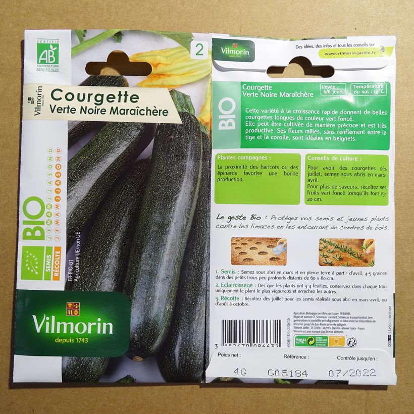 Exemple de spécimen de Courgette verte noire maraîchère Bio - Vilmorin Graines tel que livré