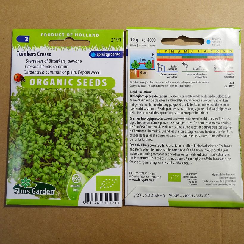 Exemple de spécimen de Cresson alénois Bio - Lepidium sativum Graines tel que livré