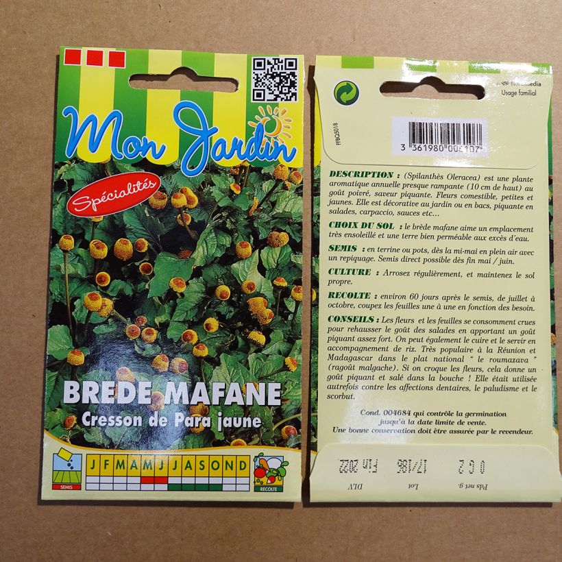 Spécimen de Cresson de Para jaune - Bredy Mafana - Spilanthes oleracea tel que livré en printemps