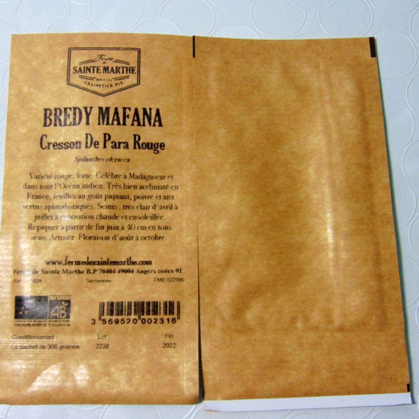 Spécimen de Cresson du Brésil Rouge Bio - Bredy Mafana - Ferme de Sainte Marthe tel que livré en printemps