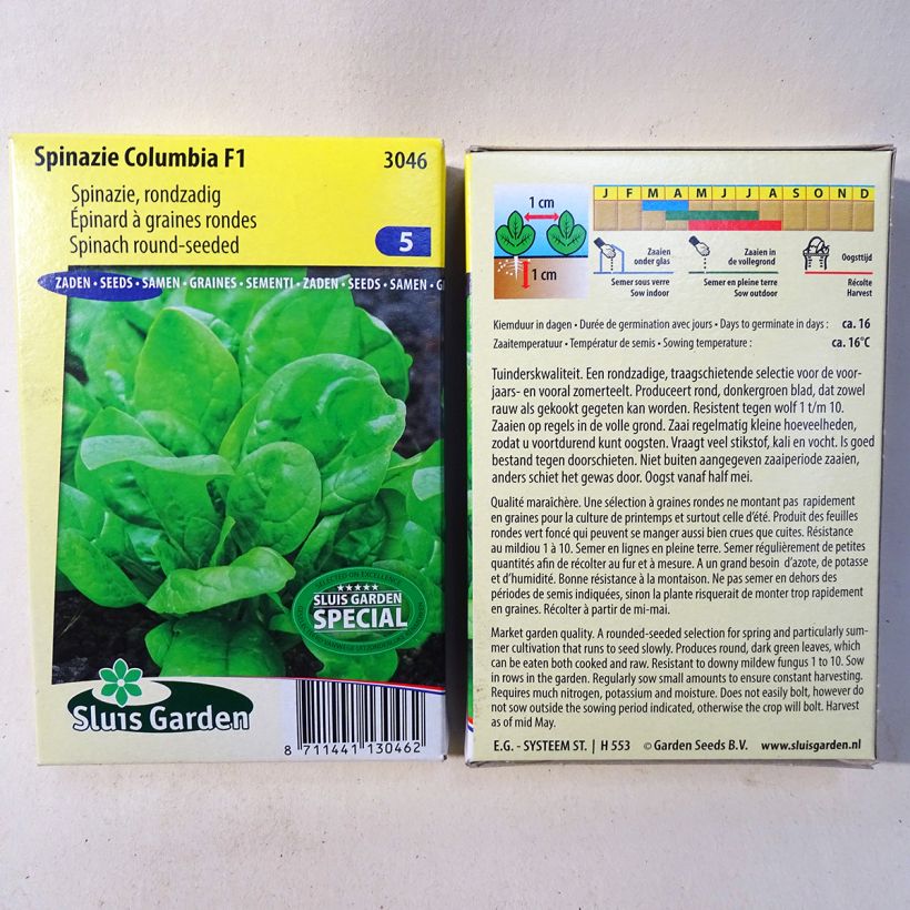 Exemple de spécimen de Epinard Columbia F1 - Spinachia oleracea Graines tel que livré