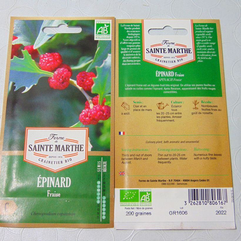 Exemple de spécimen de Epinard Fraise Bio - Ferme de Sainte Marthe  Graines tel que livré