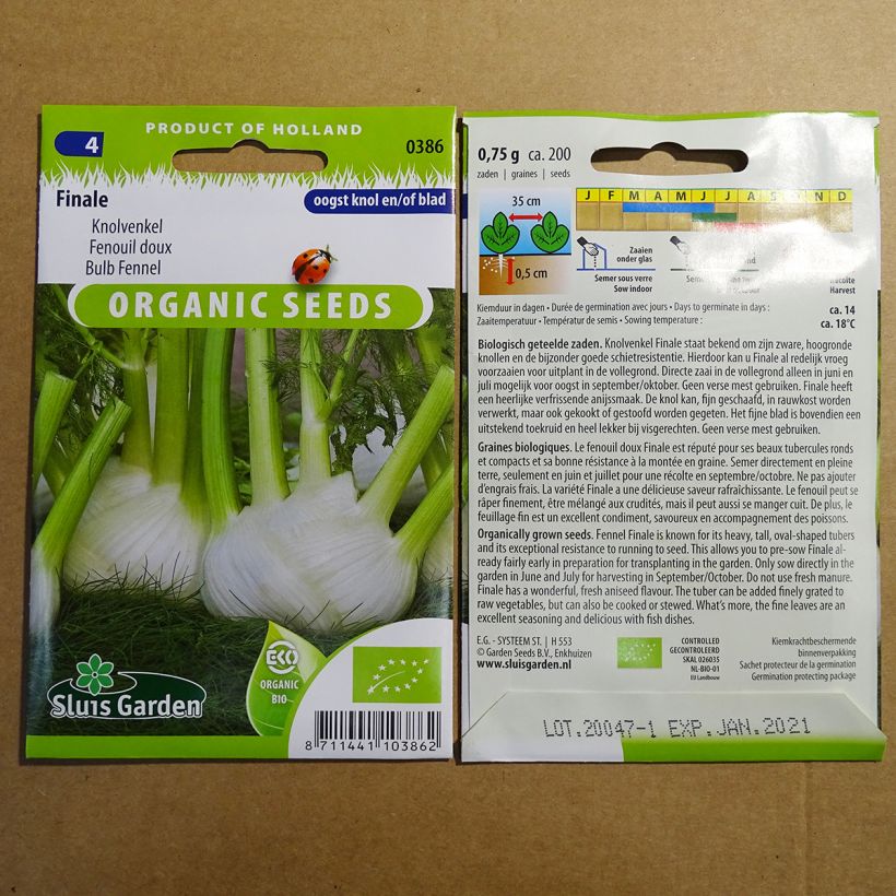 Exemple de spécimen de Fenouil doux Finale Bio - Foeniculum dulce Graines tel que livré