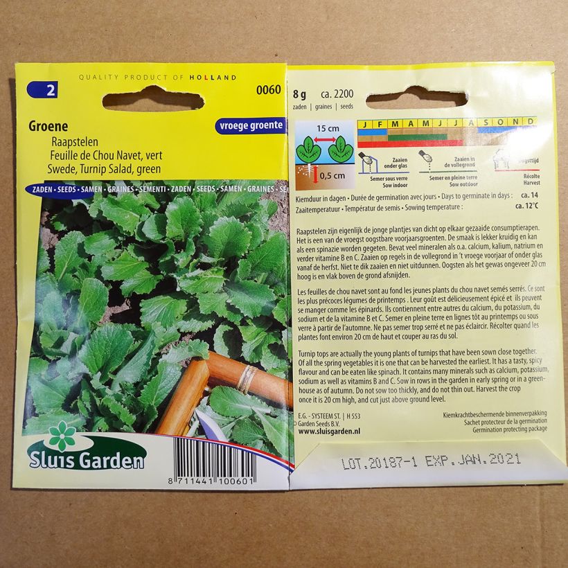 Exemple de spécimen de Feuille de Chou Navet vert Graines tel que livré