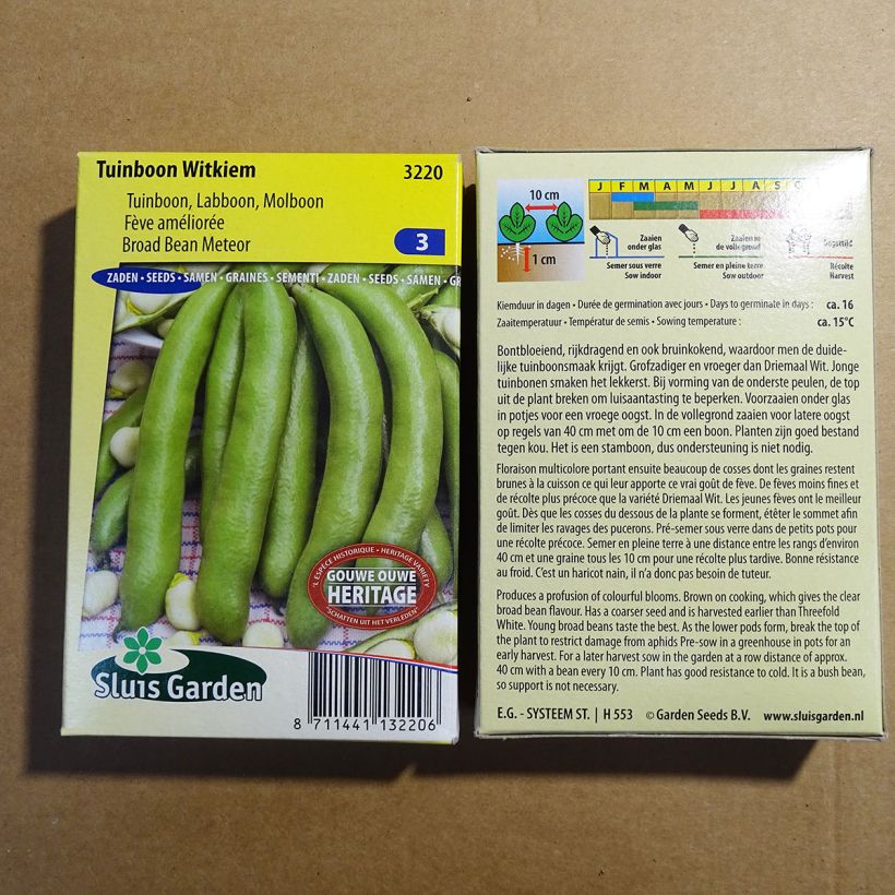 Exemple de spécimen de Fève améliorée Witkiem - Vicia faba Graines tel que livré