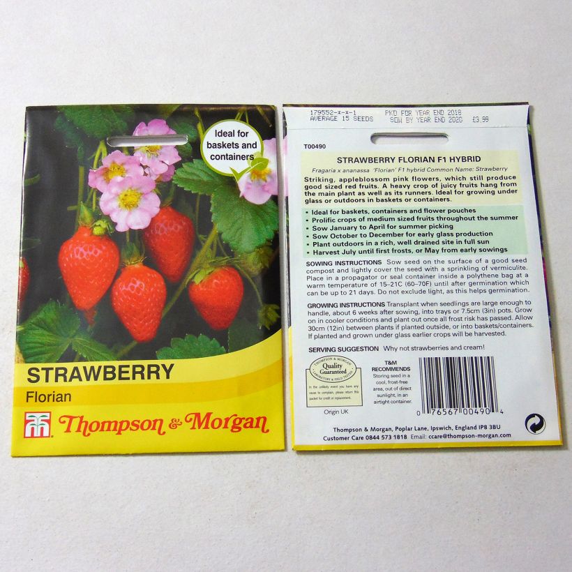 Exemple de spécimen de Fraisier Florian F1 - Fraises des jardins Graines tel que livré