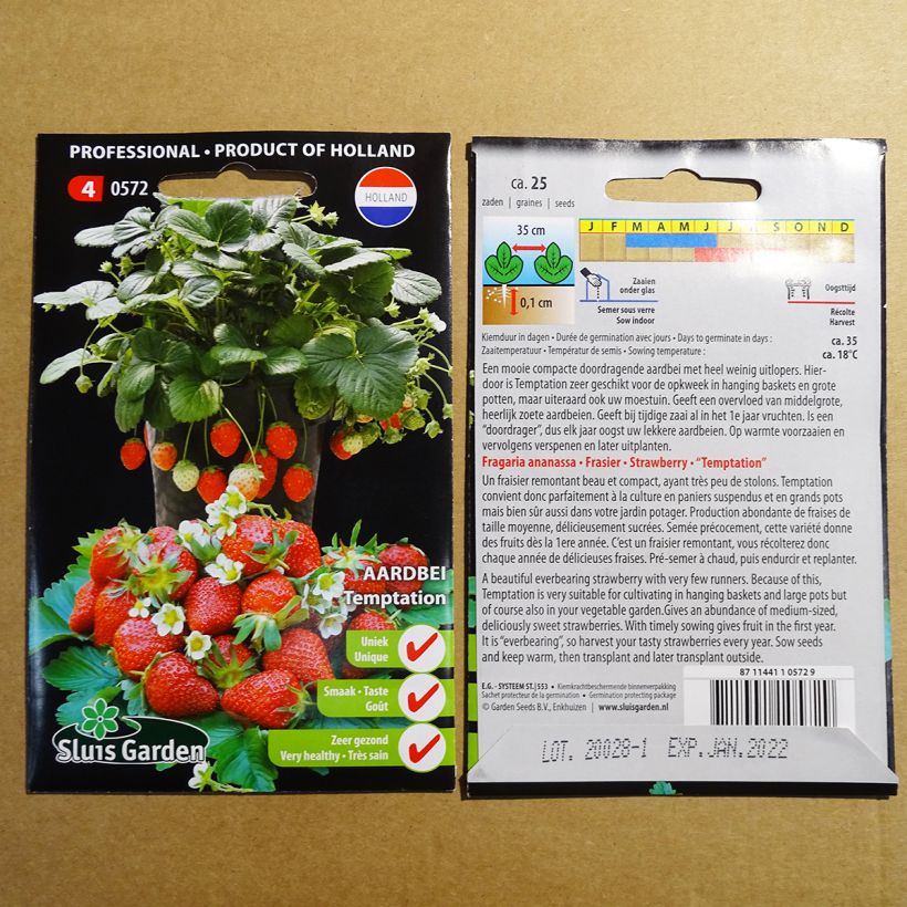 Exemple de spécimen de Fraisier Temptation - Tresca le sachet de 25 graines tel que livré