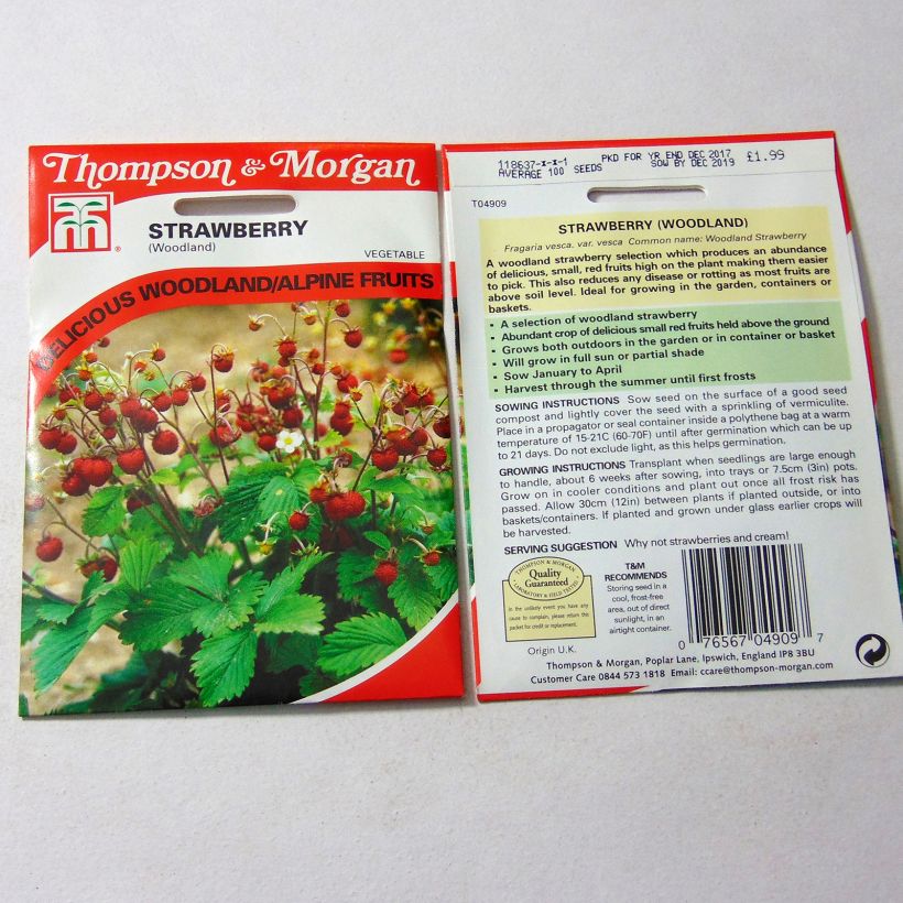 Exemple de spécimen de Fraisier Woodland - Fraise des bois Graines tel que livré