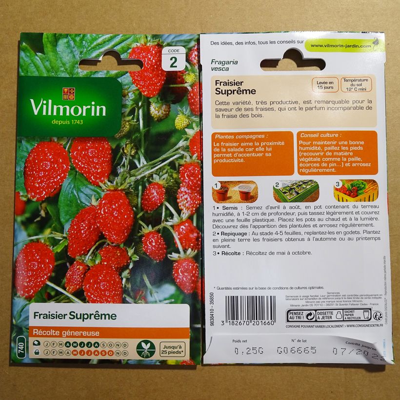 Exemple de spécimen de Fraisier des 4 saisons suprême - Vilmorin Graines tel que livré