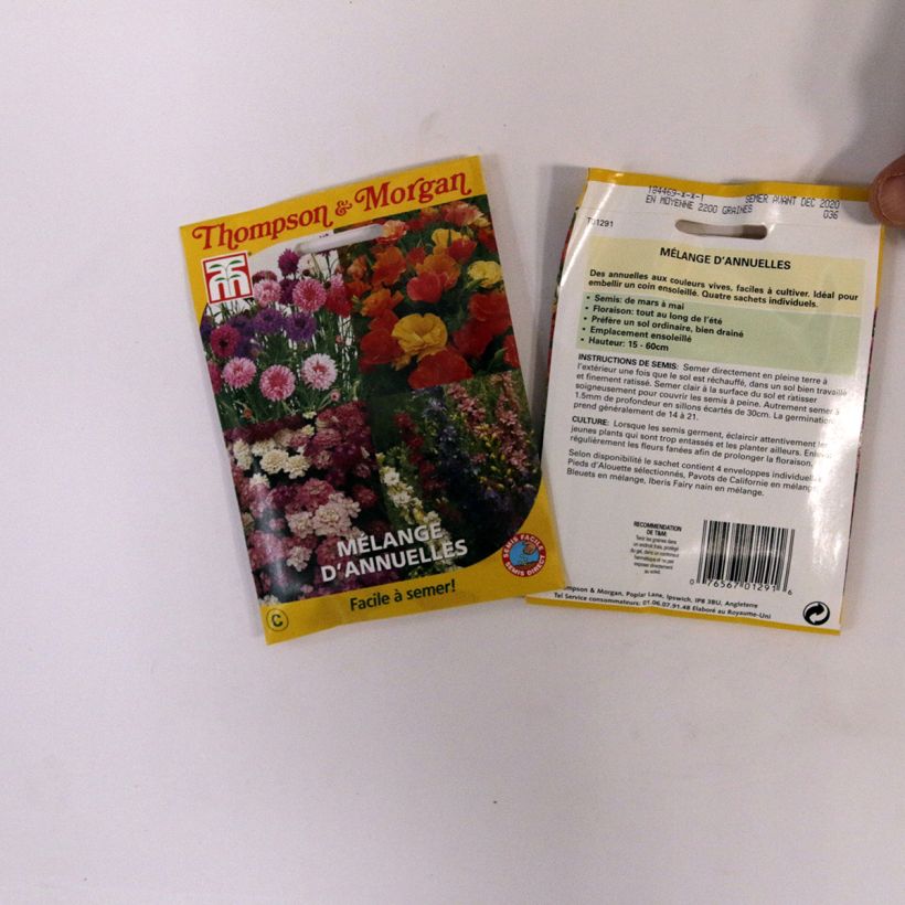 Exemple de spécimen de Graines Mélange d'annuelles - Easy Annuals Fairy Mixed tel que livré