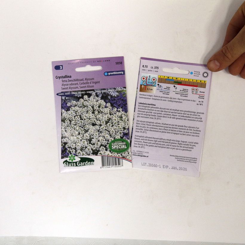 Exemple de spécimen de Graines d'Alysse odorant Crystallina - Lobularia maritima le sachet de 375 graines tel que livré