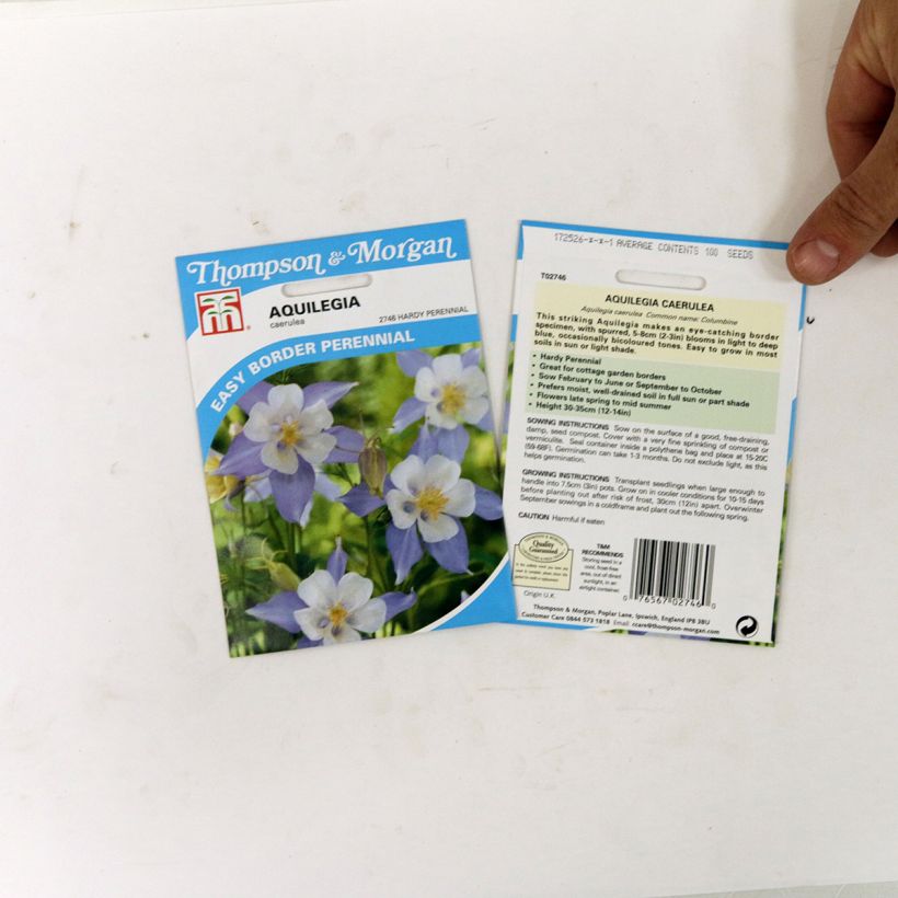 Exemple de spécimen de Graines d'Ancolie bleue à fleurs précoces - Aquilegia caerulea tel que livré