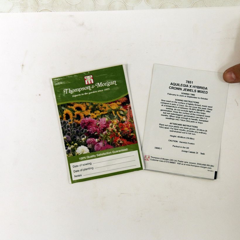 Exemple de spécimen de Graines d'Ancolie des jardins Crown Jewels Mixed - Aquilegia x hybrida Graines tel que livré