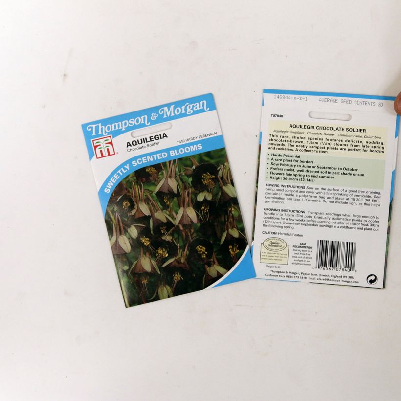 Exemple de spécimen de Graines d'Ancolie Chocolate Soldier - Aquilegia viridiflora Graines tel que livré