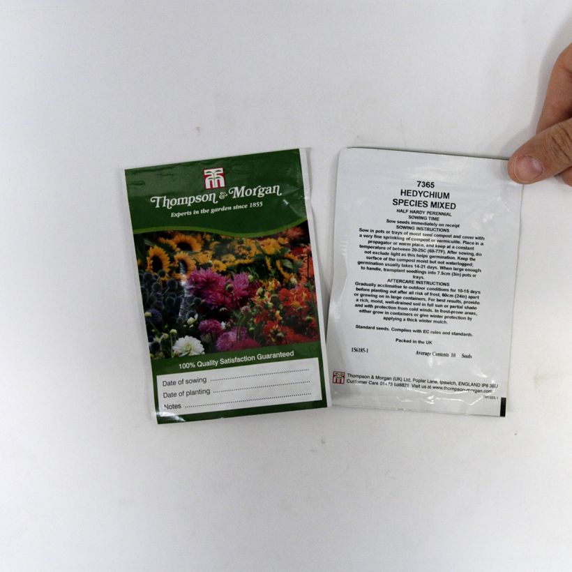 Exemple de spécimen de Graines d'Hedychium Species Mixed - Hedychium gardnerianum Graines tel que livré
