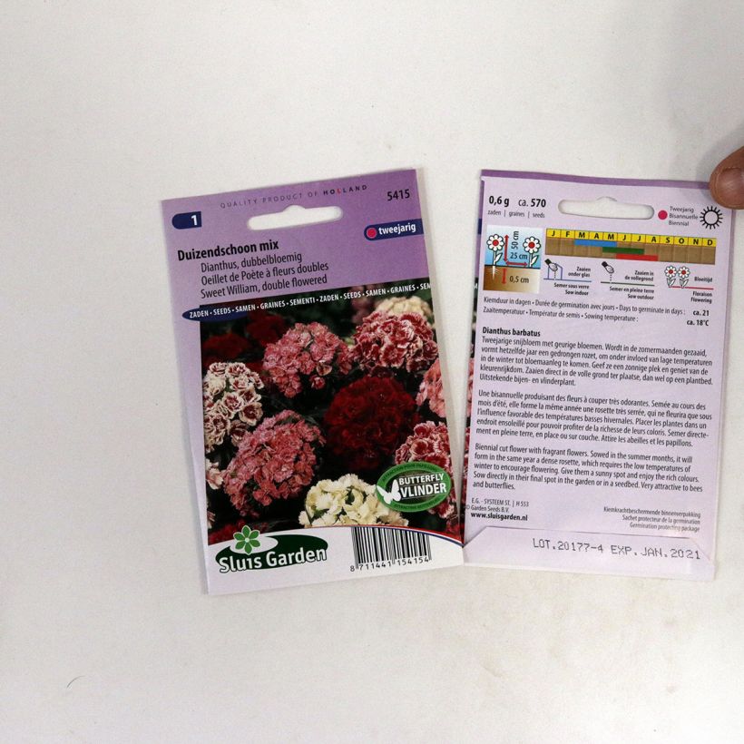 Exemple de spécimen de Graines d'Oeillet de Poète à fleurs doubles en mélange - Dianthus barbatus tel que livré