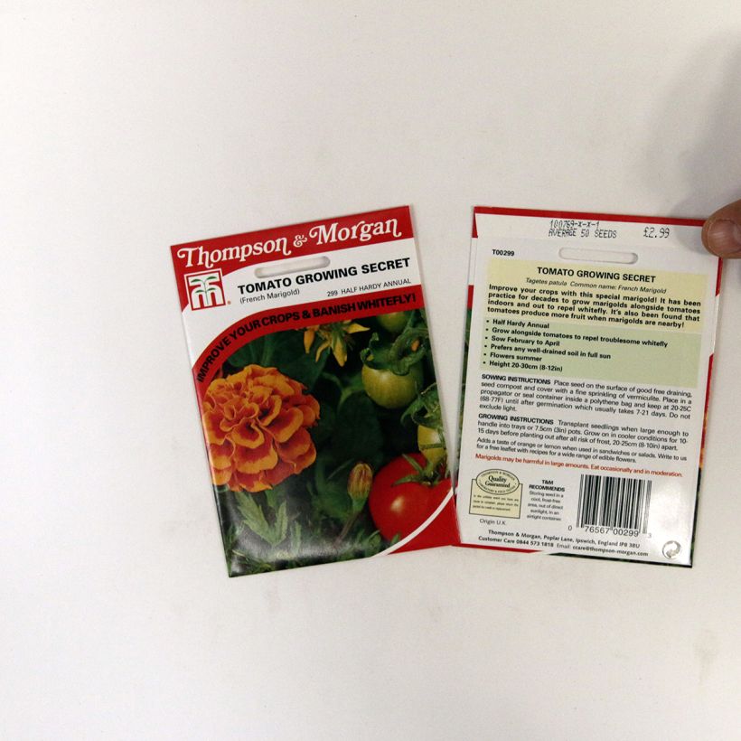 Exemple de spécimen de Graines d'Oeillet d’Inde Tomato Growing Secret - Tagetes patula le sachet de 50 graines tel que livré