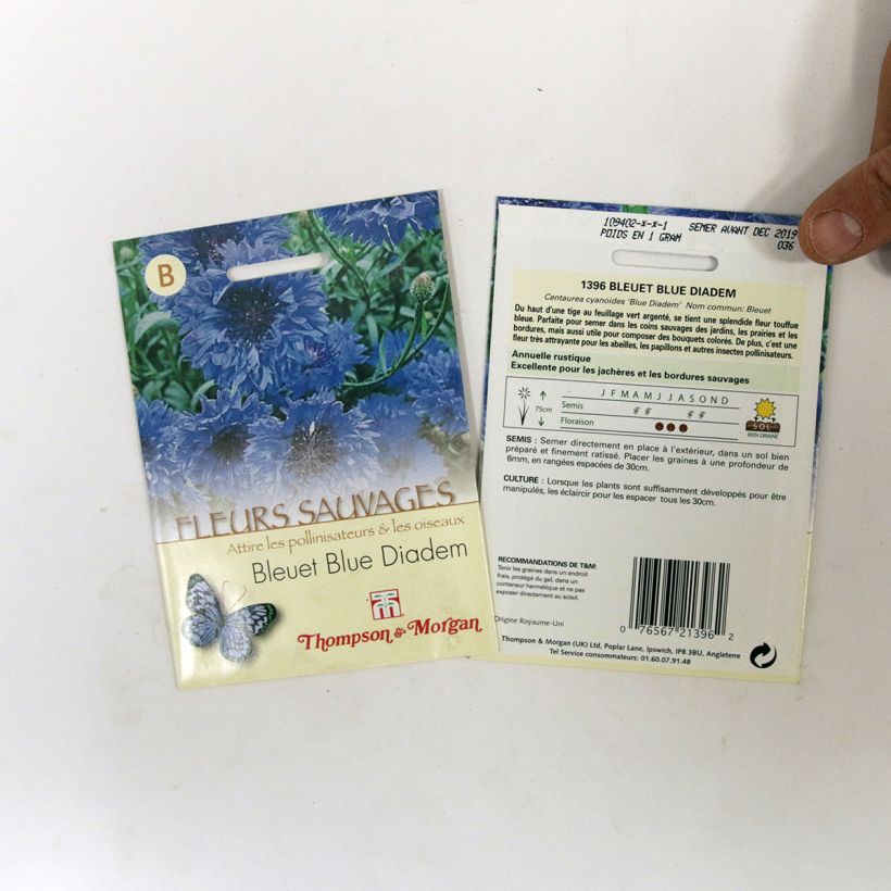 Exemple de spécimen de Graines de Centaurée bleuet Blue Diadem - Centaurea cyanus tel que livré
