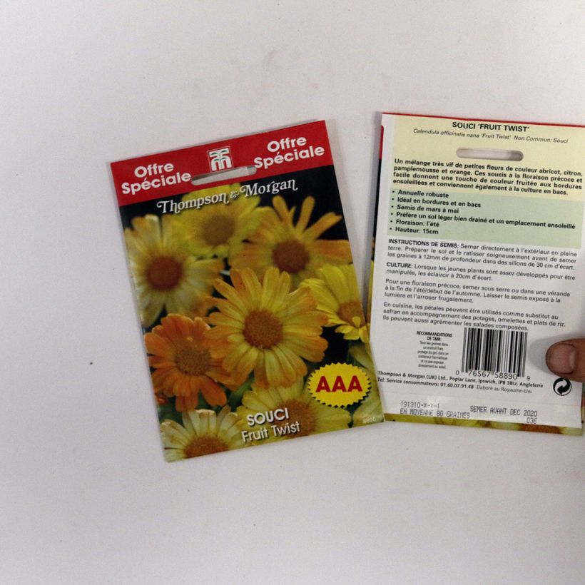 Exemple de spécimen de Graines de Calendula officinalis Fruit Twist - Souci des Jardins nain Graines tel que livré