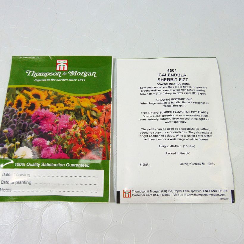 Exemple de spécimen de Graines de Calendula officinalis Sherbet Fizz - Souci des Jardins tel que livré
