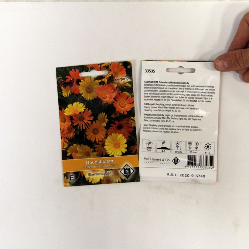Exemple de spécimen de Graines de Calendula officinalis Simplicity - Souci des Jardins Graines tel que livré