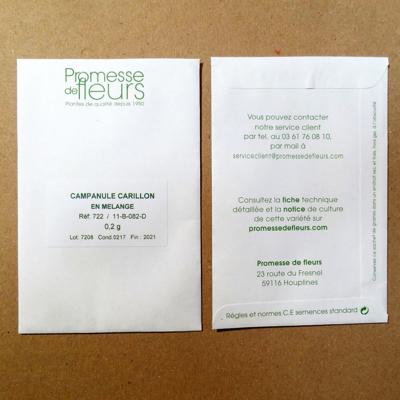 Exemple de spécimen de Graines de Campanule carillon en mélange - Campanula medium Graines tel que livré