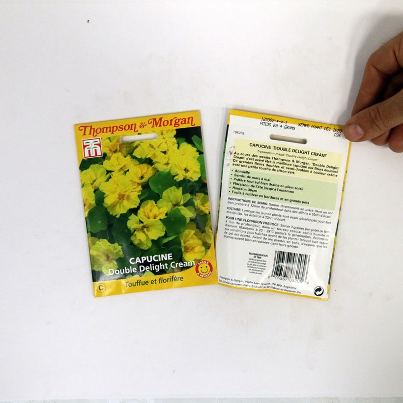 Exemple de spécimen de Graines de Capucine naine Double Delight Cream - Tropaeolum majus le sachet de 3 graines tel que livré