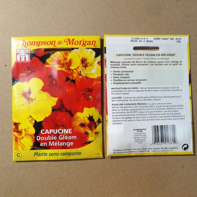 Exemple de spécimen de Graines de Capucine naine Double Gleam en mélange - Tropaeolum majus Graines tel que livré