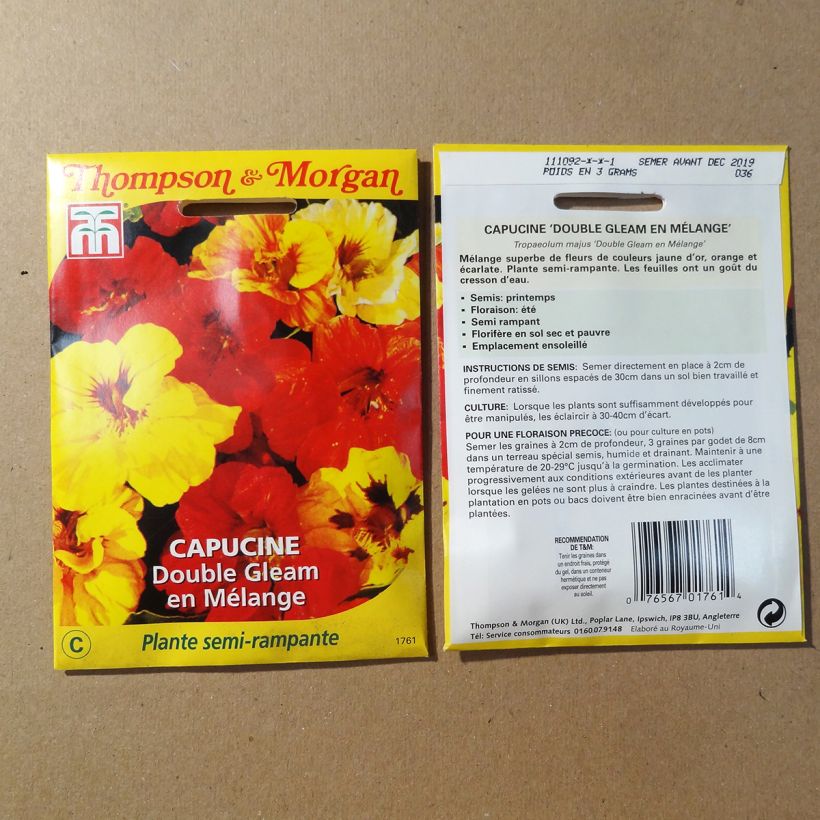 Exemple de spécimen de Graines de Capucine naine Double Gleam en mélange - Tropaeolum majus tel que livré