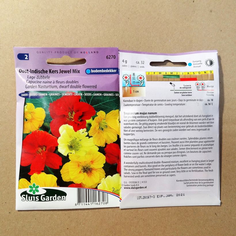 Exemple de spécimen de Graines de Capucine naine double Jewel Mix - Tropaeolum majus tel que livré