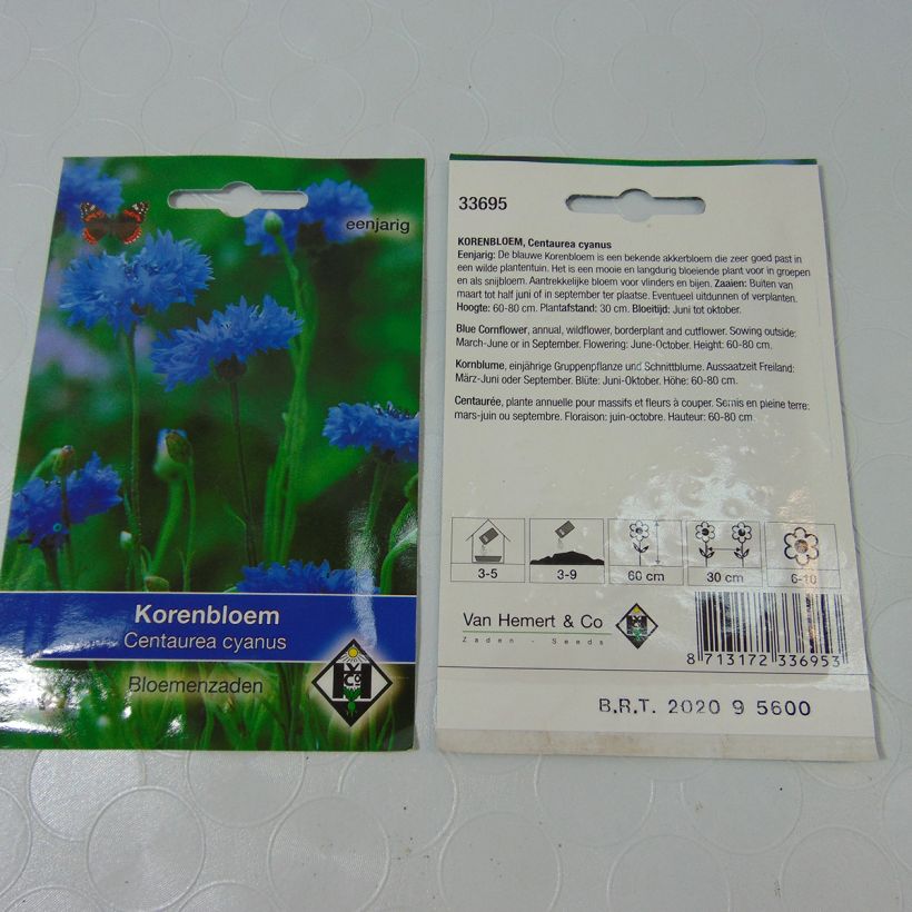 Exemple de spécimen de Graines de Centaurée bleuet sauvage - Centaurea cyanus  tel que livré