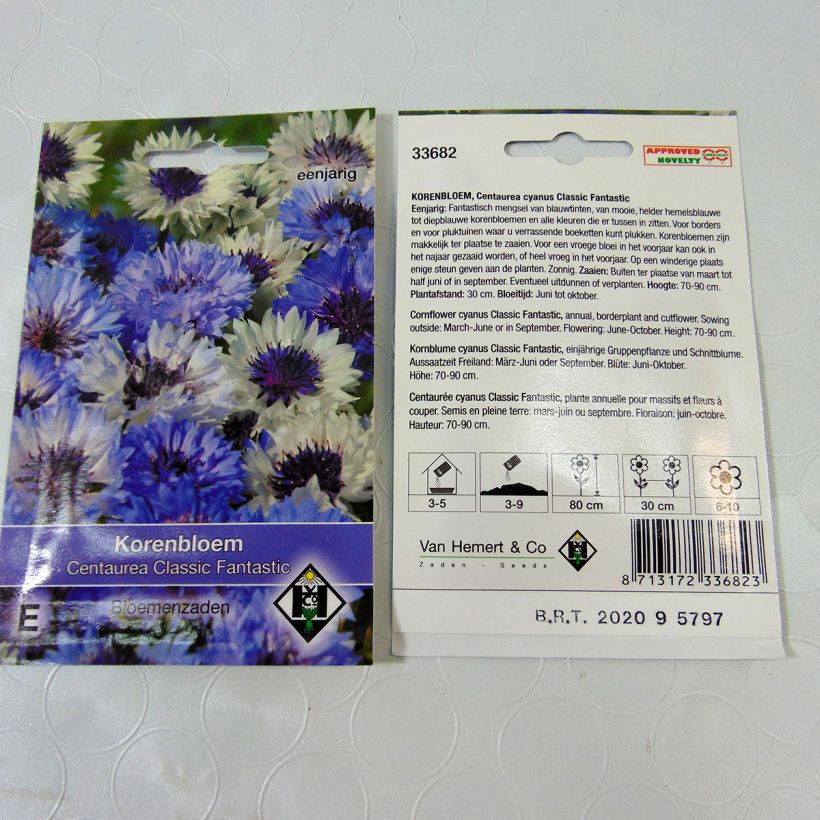 Exemple de spécimen de Graines de Centaurée bleuet Classic Fantastic  - Centaurea cyanus tel que livré