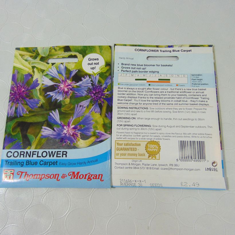 Exemple de spécimen de Graines de Centaurée cyanoides Trailing Blue Carpet Graines tel que livré