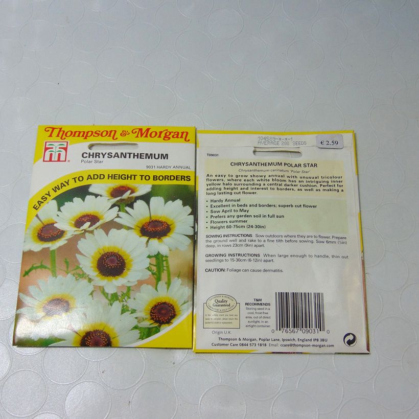 Exemple de spécimen de Graines de Chrysanthème à carène Polar Star - Chrysanthemum carinatum Graines tel que livré