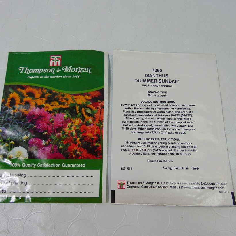 Exemple de spécimen de Graines de d'Oeillet de poète Summer Sundae - Dianthus barbatus Graines tel que livré