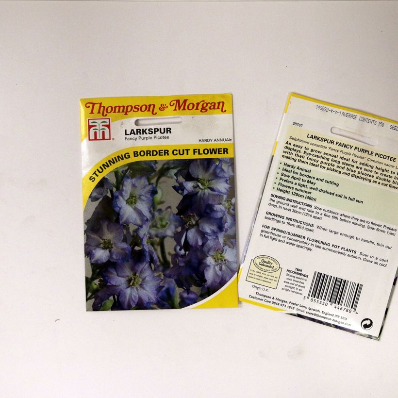 Exemple de spécimen de Graines de Delphinium Fancy Purple Picotee - Pied d'Alouette annuel tel que livré