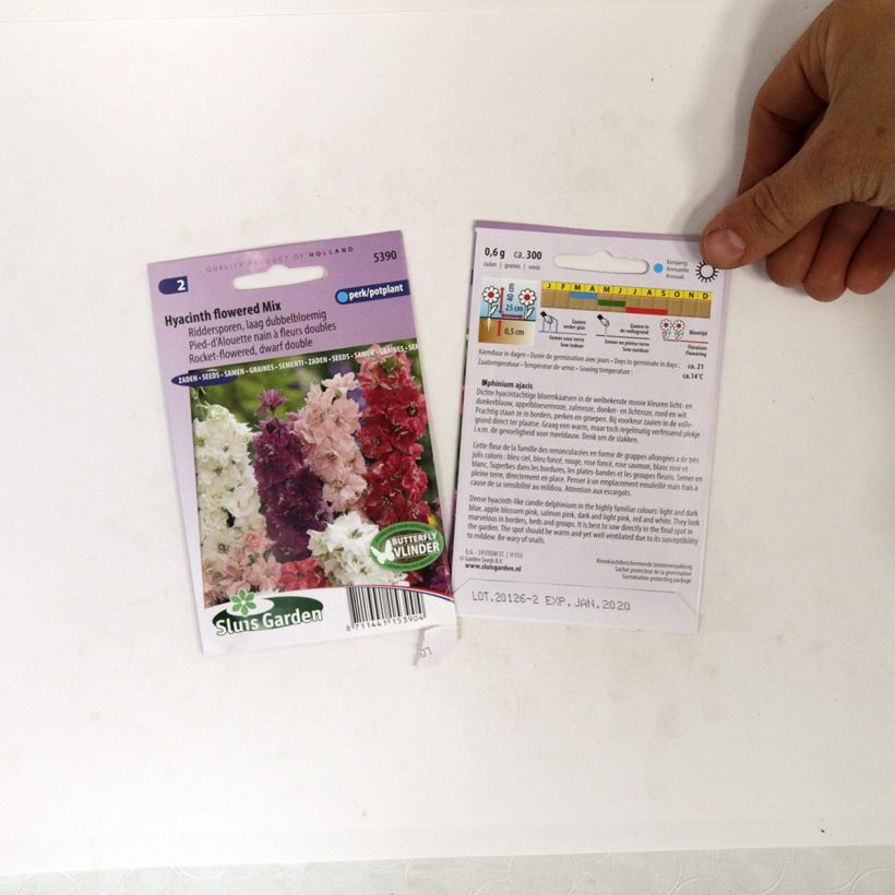 Exemple de spécimen de Graines de Delphinium Hyacinth Flowered Mix - Pied d'Alouette annuel tel que livré