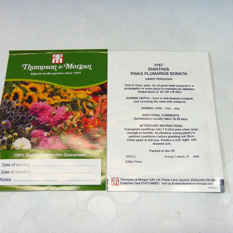 Exemple de spécimen de Graines d'Oeillet mignardise Sonata mélange - Dianthus plumarius tel que livré