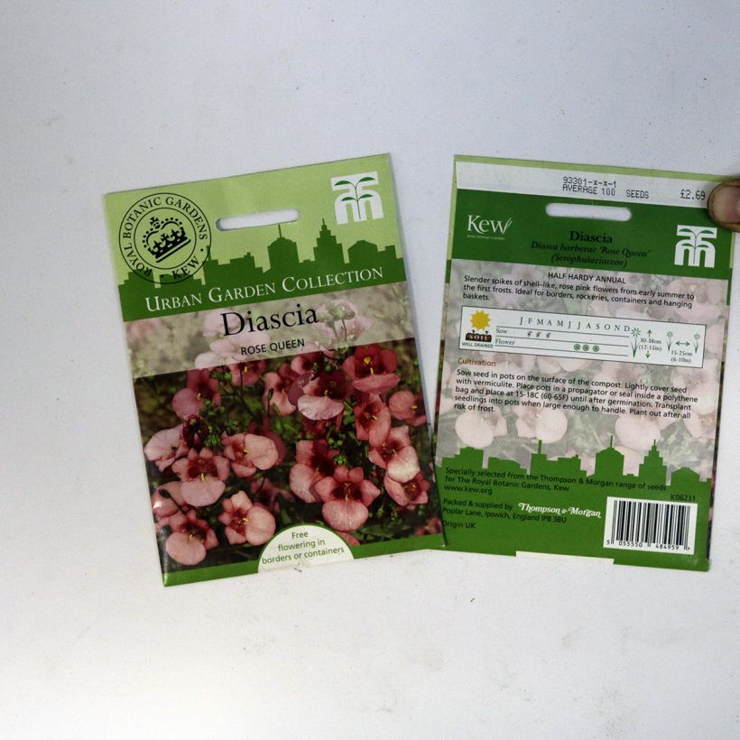 Exemple de spécimen de Graines de Diascia barberae Rose Queen - Diascie rose Graines tel que livré