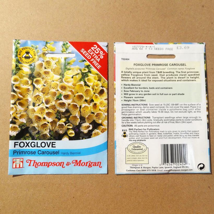 Exemple de spécimen de Graines de Digitale Primrose Carousel - Digitalis purpurea le sachet de 50 graines tel que livré