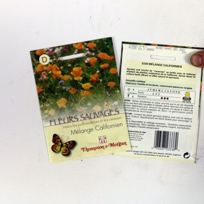 Exemple de spécimen de Graines de Fleurs sauvages - Mélange Californien tel que livré