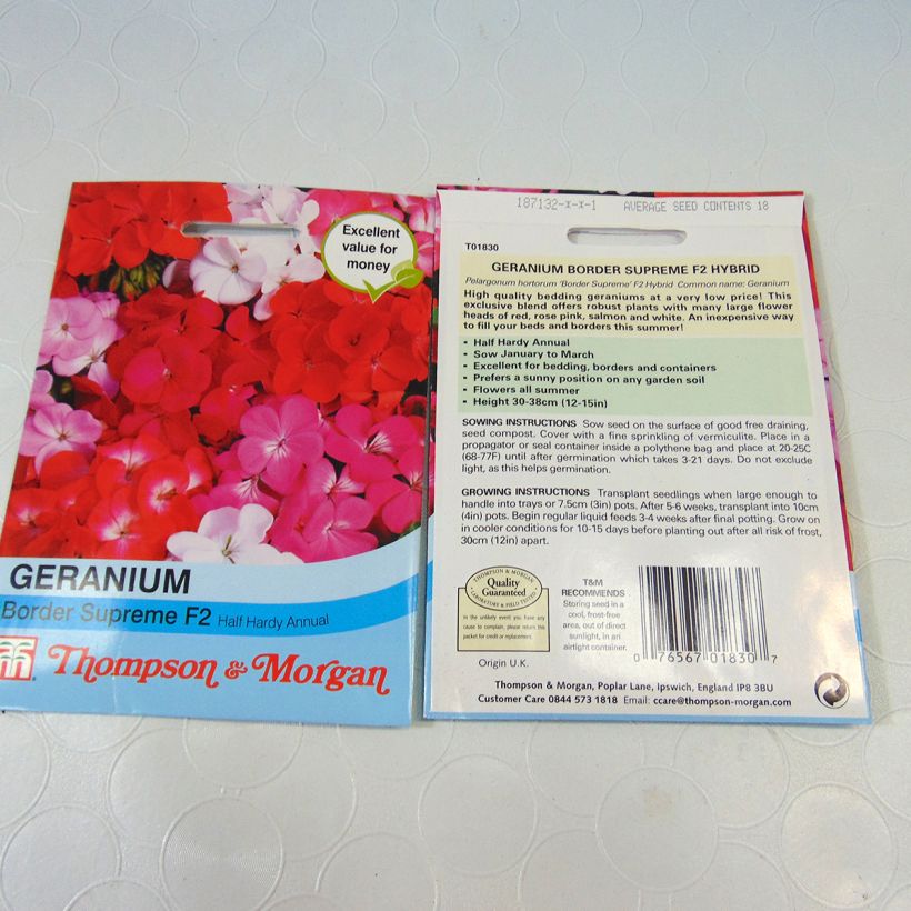 Exemple de spécimen de Graines de Géranium Border Supreme F2 Hybrid - Pelargonium tel que livré
