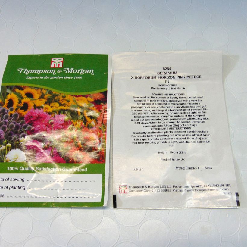 Exemple de spécimen de Graines de Géranium Horizon Pink Meteor F1 - Pelargonium le sachet de 6 graines tel que livré