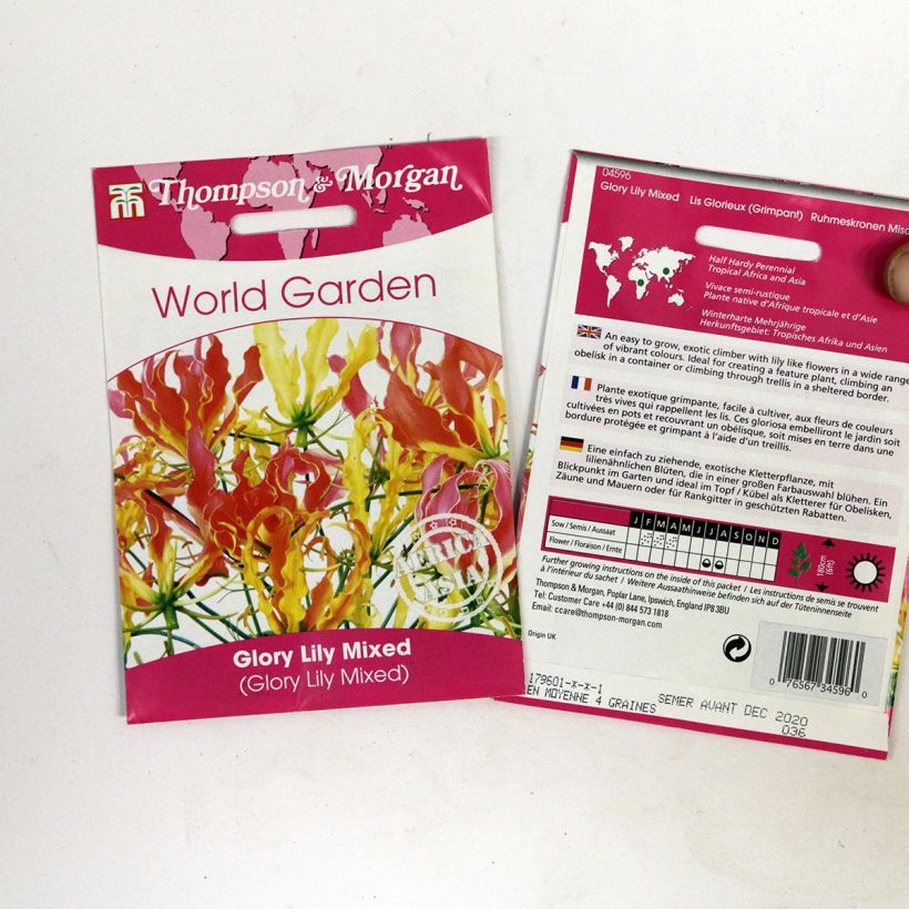 Exemple de spécimen de Graines de Gloriosa superba Mixed - Lis Glorieux grimpant  Graines tel que livré