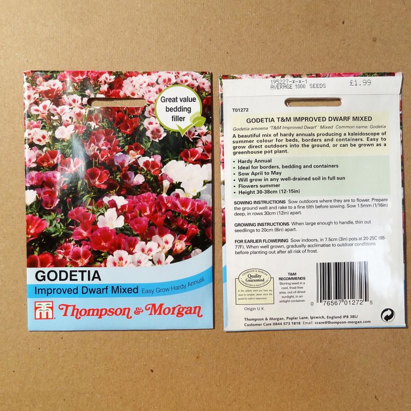Exemple de spécimen de Graines de Godétia Improved Dwarf mix - Clarkia Graines tel que livré