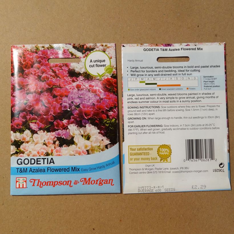 Exemple de spécimen de Graines de Godétia T&M Azalea-flowered en mélange - Clarkia tel que livré