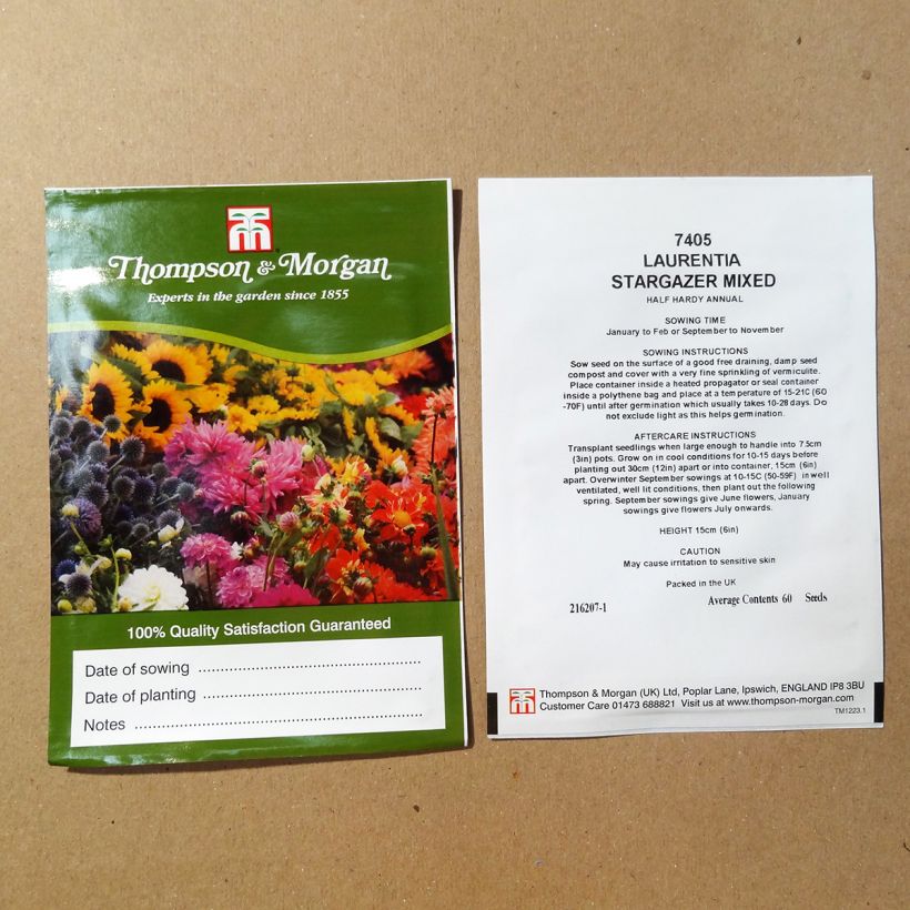 Exemple de spécimen de Graines de Laurentia Stargazer Mixed  Graines tel que livré